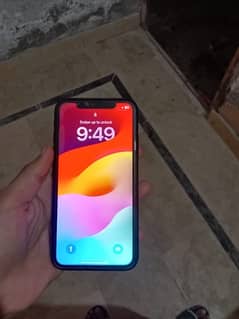 iPhone xr