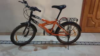 Phoenix Cycle for sale