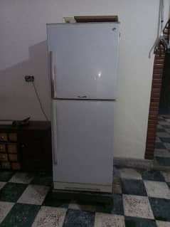 Pel Refrigerator full size for sale