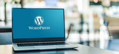 Website developer with hosting WORDPRESS developer 0