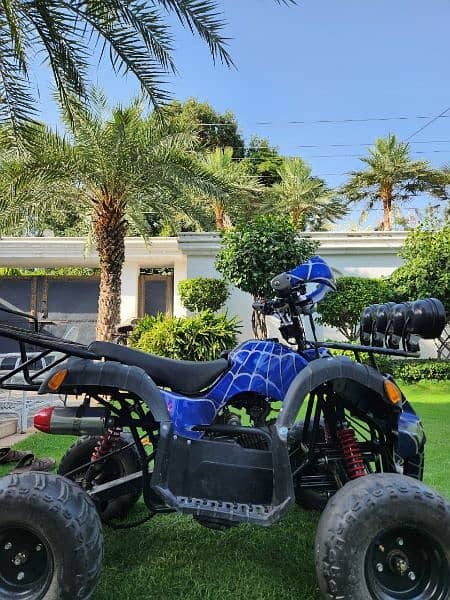 Quad Bike ATV 3