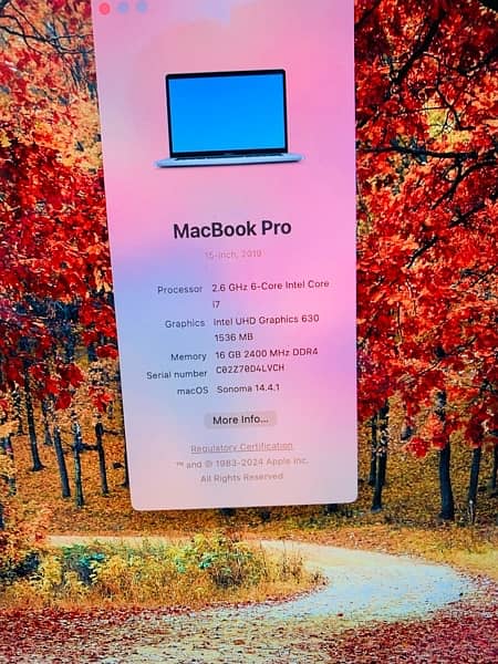 Apple Mackbook pro 2019 model 15inch i7 16Rm 256ss 4Gb garifcard t 7