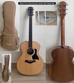 Taylor GS Mini-e Rosewood semi Made in Mexico semi acoustic 0