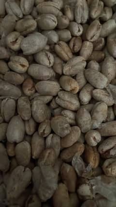 ajwa seeds 0