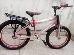 20/22" Brand New Phoenix Bicycle (wholesale)