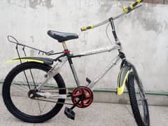 20/22" Brand New Phoenix Bicycle (wholesale)