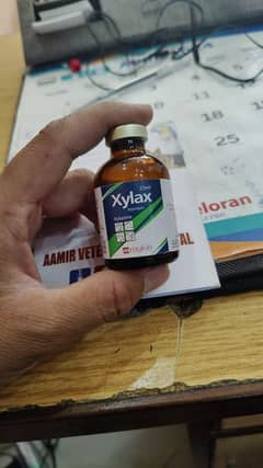 xylax injection for animas