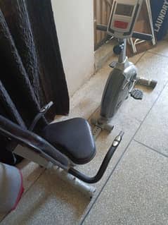 Recumbent Bike