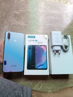 vivo