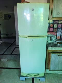 Genuine PEL Refrigerator For Sale