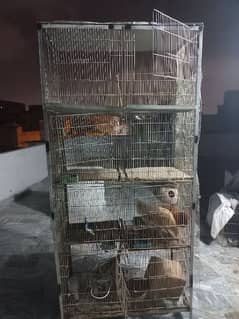 8 Portion Cage For Hens & Birds 0