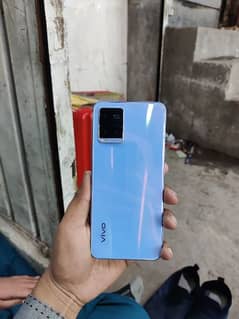 vivo