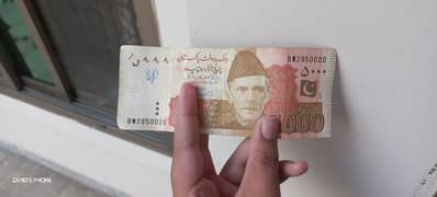 295 wala note