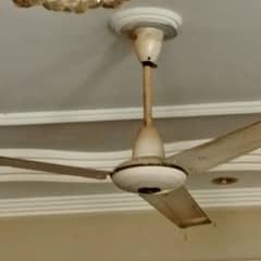 12 ceiling Fans