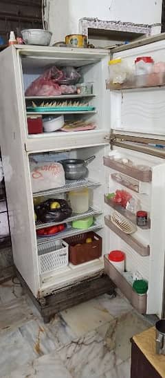 dowlance refrigerator double door