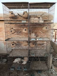 8 boxes of bird cages / cage/ iron cage / love bird / pinjra / colony