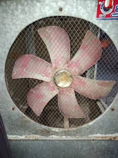 Air cooler