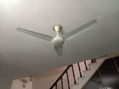 SK CEILING FAN 56" - EXCELLENT CONDITION ( Contact - 0300*8449936)
