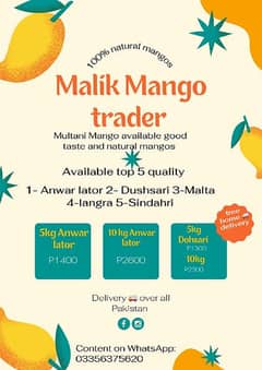 Multani Mango fresh available for order content 03356375620