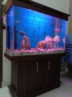 Fish Aquarium for Sale 0