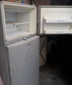 fridge