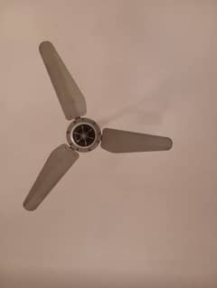 Floor Fans