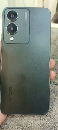 vivo