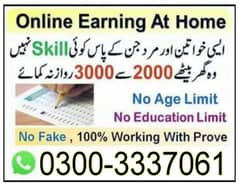Boys/Girls Online job available,Data Entry/Typing/Assignment