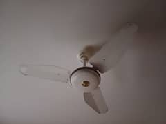 mefco (Singaporean brand) imported Fan