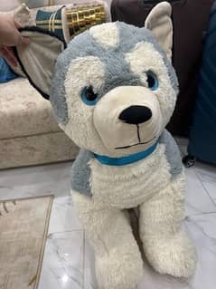 Imported teddy bear from Dubai