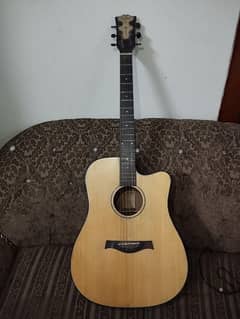 Equites semi acoustic guitar w/ bag