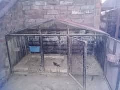 Cage urjant for sale
