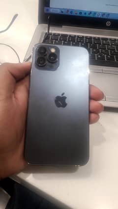 iphone xs in 12 pro body