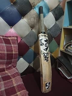 SG Kashmir Willow best hard hitting bat 2024