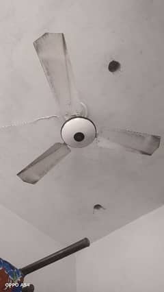 fan