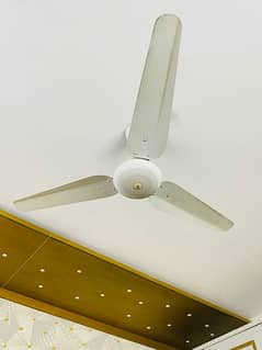 SK Fan Ceiling Fan