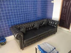 Office Sofa Chesterfield / Executive Office / five seater sofa