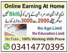 Online job at Home/Part Time/Data Entry/Typing/Assignments/Teaching