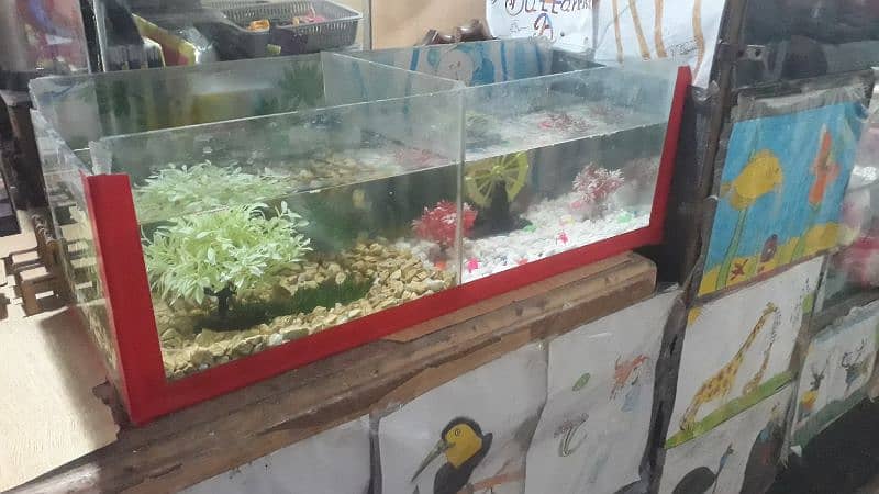 fish aquarium with decoration 0