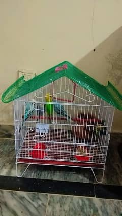 Parrot Heavy Wire bird cage only for sale 10/10