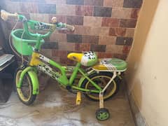 bicycle for kids