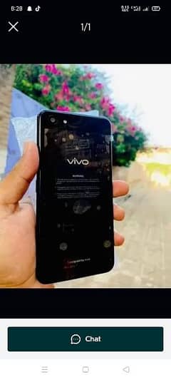 vivo