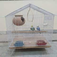 Budgies Breeder Pair with Cage for urgent sale 0