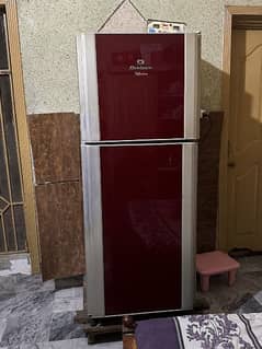 Dawlance King size fridge