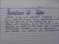handwriting assignment wrork