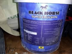 black horse pin pack paint for sale one bucket.