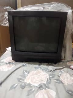 Television