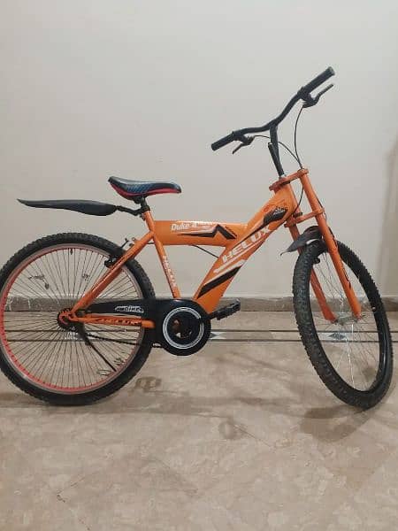 full size sports bicycle 1
