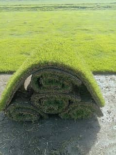American grass Natural/American grass garden carpet
