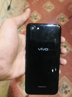 vivo